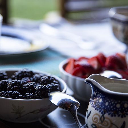 East Hampton Art House Bed And Breakfast Екстер'єр фото
